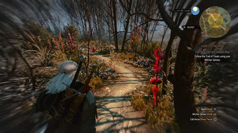 witcher 3 crookback bog|Ladies of the Wood .